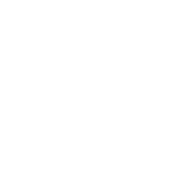 Wordmark · White